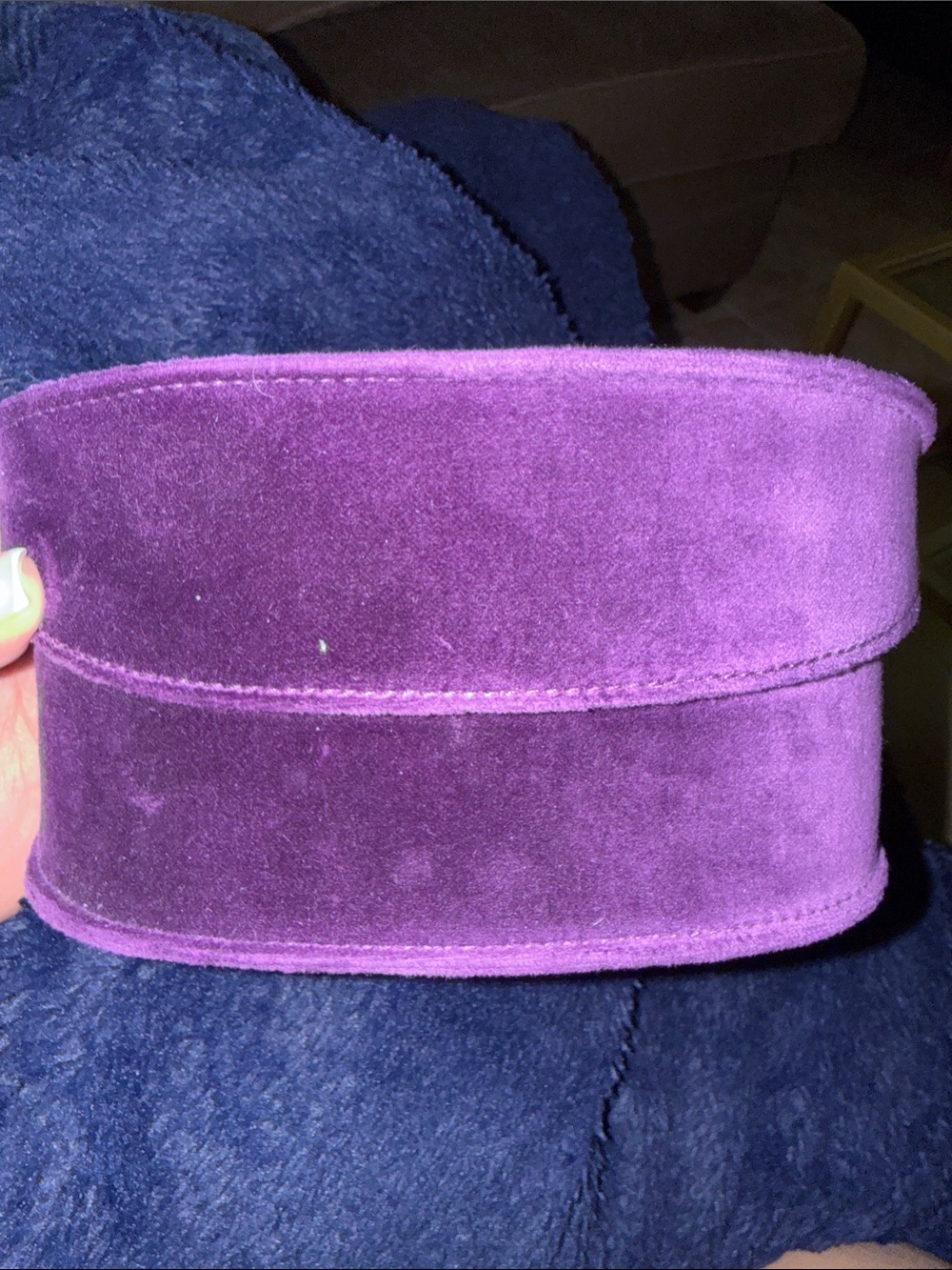 Gucci Purple Velvet Oversized Sunglass Case